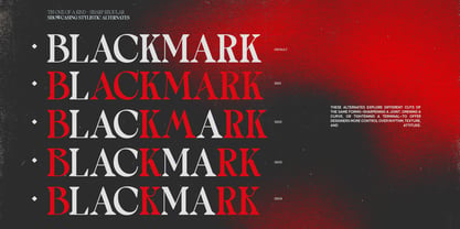 TBJ One of a kind Font Poster 7