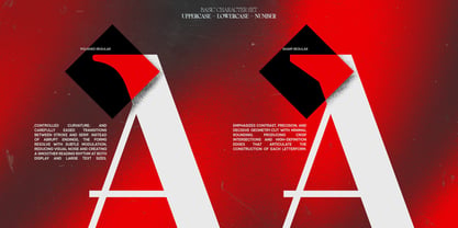 TBJ One of a kind Font Poster 8