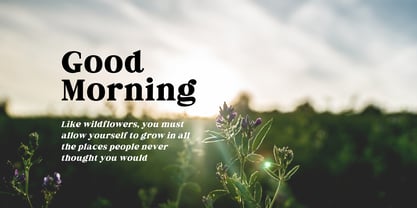 Fox Miravel Font Poster 6