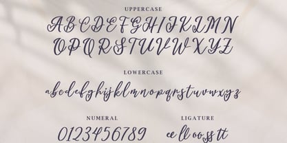 Aimecka Font Poster 3