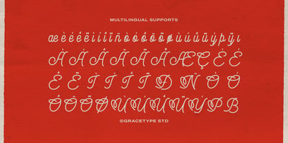 Audley Ipswitch Font Poster 11