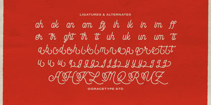 Audley Ipswitch Font Poster 12