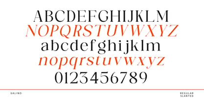 Galino Font Poster 11