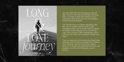 Shiffont Serif Font Poster 9