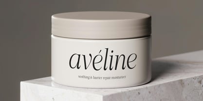 Shiffont Serif Font Poster 3