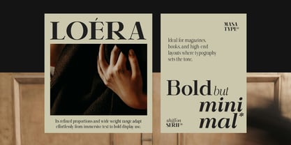 Shiffont Serif Font Poster 8