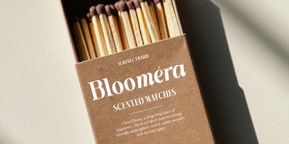 Shiffont Serif Font Poster 4