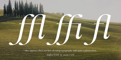 Shiffont Serif Font Poster 10