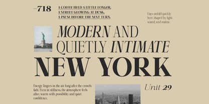 Shiffont Serif Font Poster 5