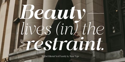 Shiffont Serif Font Poster 2