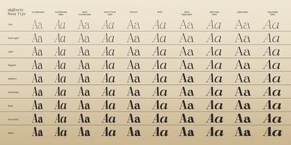 Shiffont Serif Font Poster 11