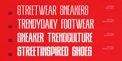 GC Gond Font Poster 2