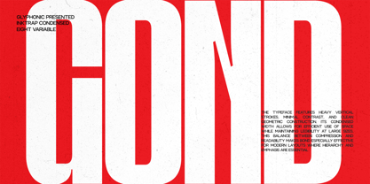 GC Gond Font Poster 1