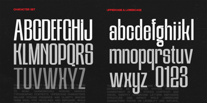 GC Gond Font Poster 8