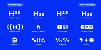 Biarty Font Poster 11