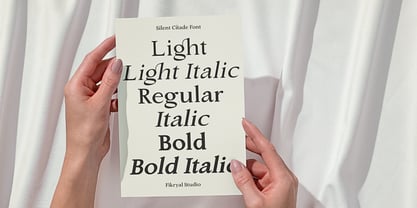 Silent Citadel Font Poster 4