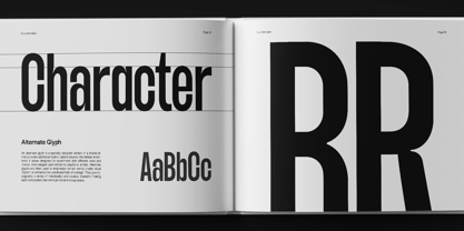 GC Neue Mancho Font Poster 14