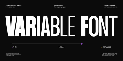 GC Neue Mancho Font Poster 12