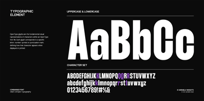 GC Neue Mancho Font Poster 11