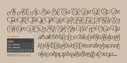 Flourel Font Poster 11
