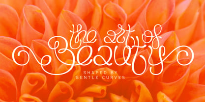 Flourel Font Poster 5