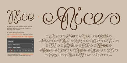 Flourel Font Poster 8