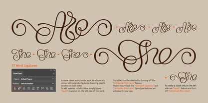 Flourel Font Poster 4