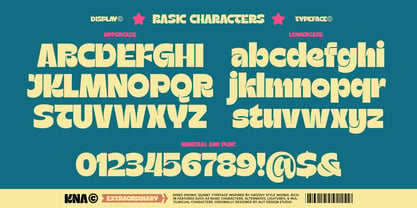 Disko Phonic Font Poster 5