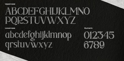 Sx Distext Font Poster 8