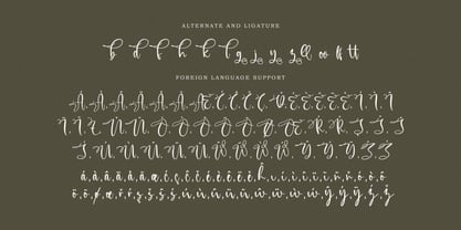 Moesburg Font Poster 12
