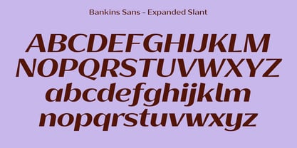 Bankins Expanded Font Poster 14
