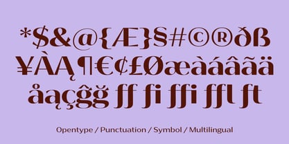 Bankins Expanded Font Poster 15