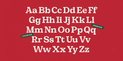 Snack Rush Font Poster 13