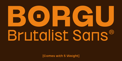 Borgu Font Poster 1