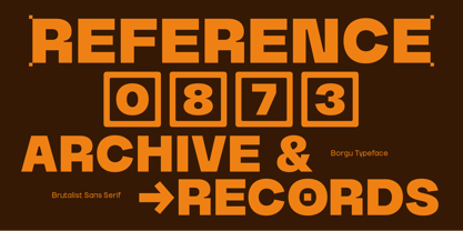 Borgu Font Poster 11