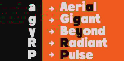 Becaure Font Poster 4