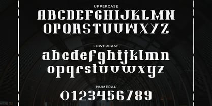 Gatofin Font Poster 2
