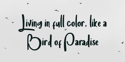 Medina Handwritten Font Poster 6