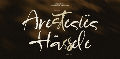 Enpestimos Font Poster 8