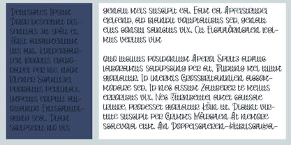 PN Valerian Font Poster 8