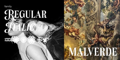 Casa Leru Font Poster 5