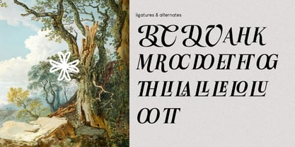 Casa Leru Font Poster 2