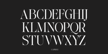 Lifestyle Icons Font Poster 12