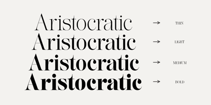 Lifestyle Icons Font Poster 2