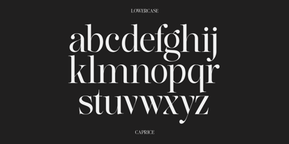Lifestyle Icons Font Poster 13