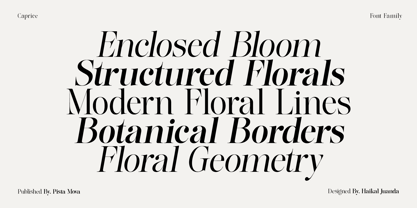 Lifestyle Icons Font Poster 6