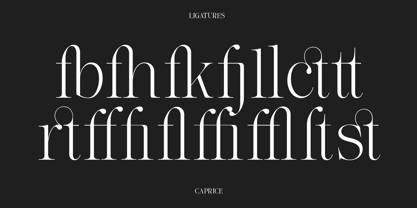 Lifestyle Icons Font Poster 15