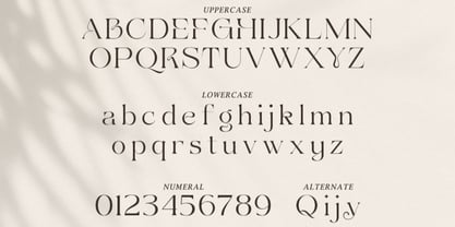 Ravchiek Font Poster 2