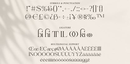 Ravchiek Font Poster 3