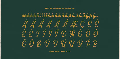 Meptora Font Poster 11